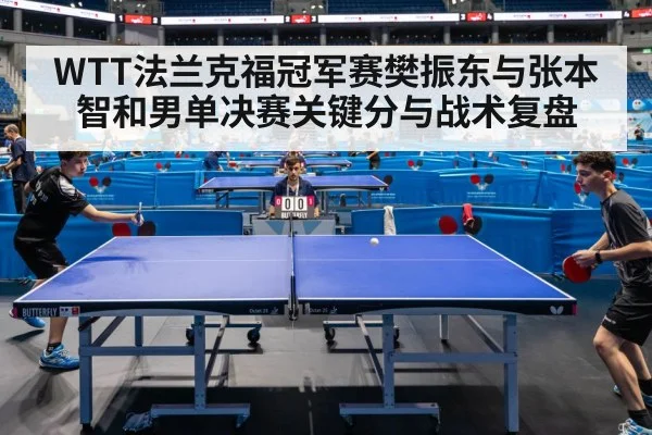 WTT法兰克福冠军赛樊振东与张本智和男单决赛关键分与战术复盘